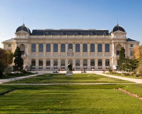 Historic Gold Pieces Taken in Daring Robbery at French National Institution